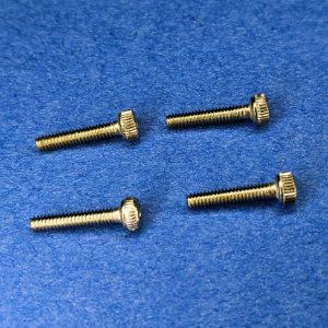 Photo of four M2 by 8mm hex bolts.